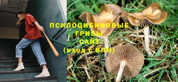а пвп мука Елабуга
