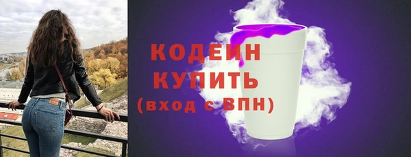 МДПВ Елизово