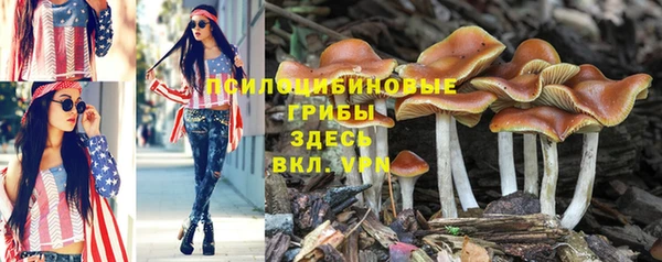 гашиш Ельня