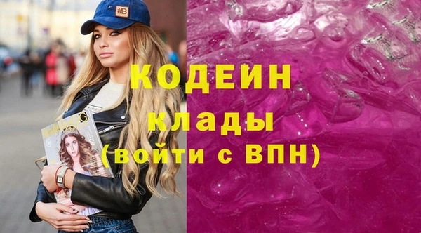 МДПВ Елизово