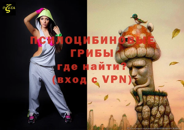 МДПВ Елизово