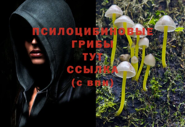 а пвп мука Елабуга