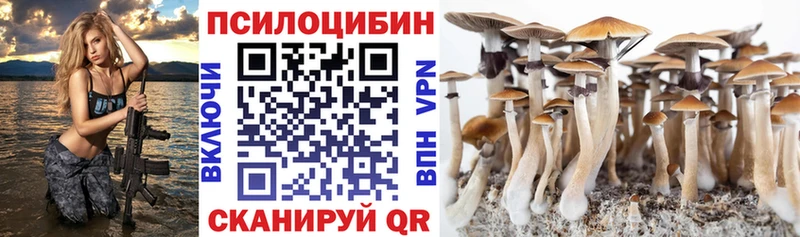 Псилоцибиновые грибы Psilocybe  Купить  Туапсе 